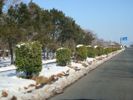 気持ちい天候で・・県道３３３号線（湖周道路）新旭町
