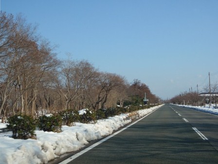 気持ちい天候で・・県道３３３号線（湖周道路）新旭町