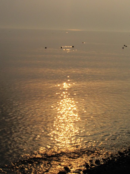 湖里庵