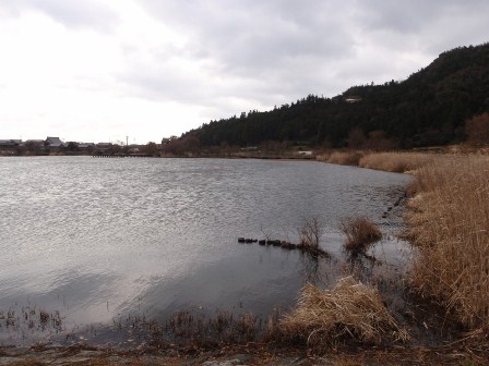 琵琶湖より伊吹山を眺める