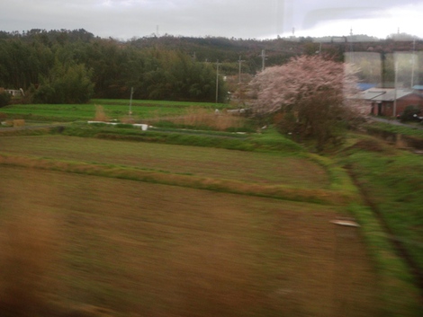 青い空は見えなかったけど～～