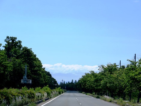 小満～～緑も空も・・陽気の中でした