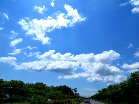 小満～～緑も空も・・陽気の中でした