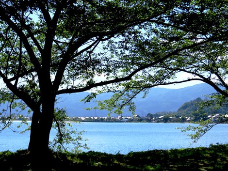 小満～～緑も空も・・陽気の中でした