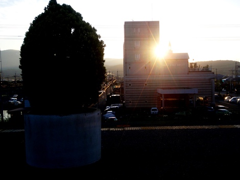 麦秋に野洲のｵｯｻﾝ～～jr湖西線から夕景