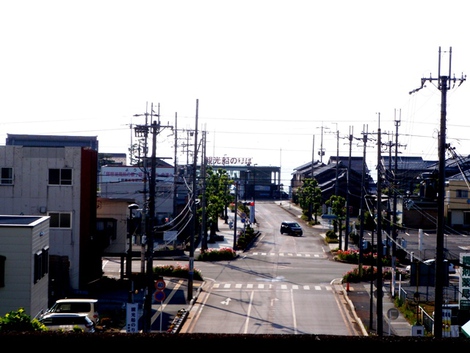 麦秋に野洲のｵｯｻﾝ～～jr湖西線から夕景