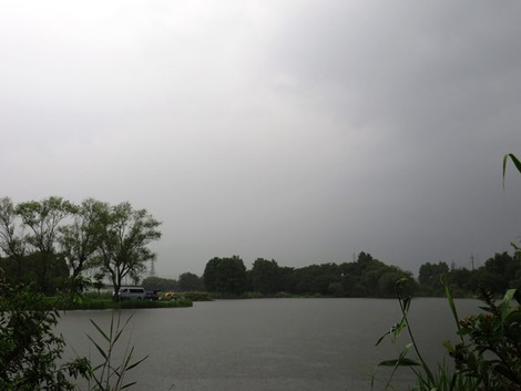 大雨注意報もなくなって・・「大暑」の木曜日