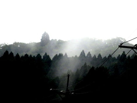 大雨注意報もなくなって・・「大暑」の木曜日
