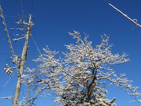 朝の雪・・青空で・・