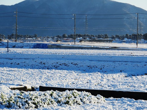 朝の雪・・青空で・・