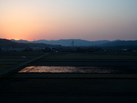 琵琶湖岸にオニグルミの花～湖西線茜色