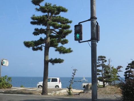 細々な用事ばかりで・・土曜日