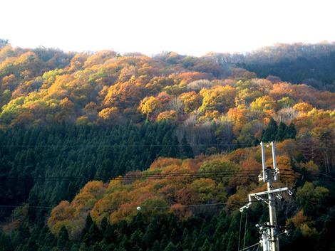 冷えながら青空も・・・山眠るでした・・土曜