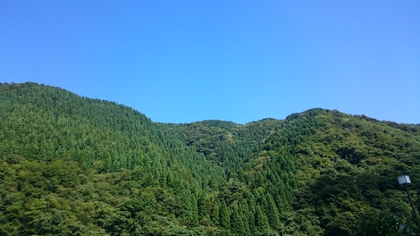 処暑・・2016