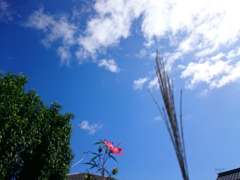 今日は残暑厳しそうな・・はじまり