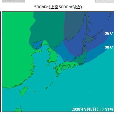 居座る寒気団・・メタセコイヤ並木‥冬