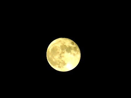 冷え込んで朝夕・・紅葉も