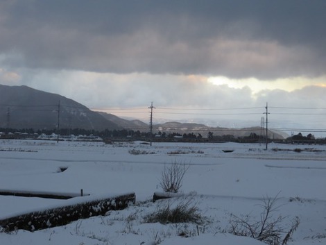 雪～積もりました