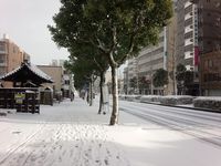 初積雪