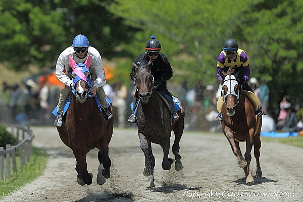 いなべ草競馬