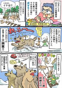 南極へ行った樺太犬（カラフト犬）