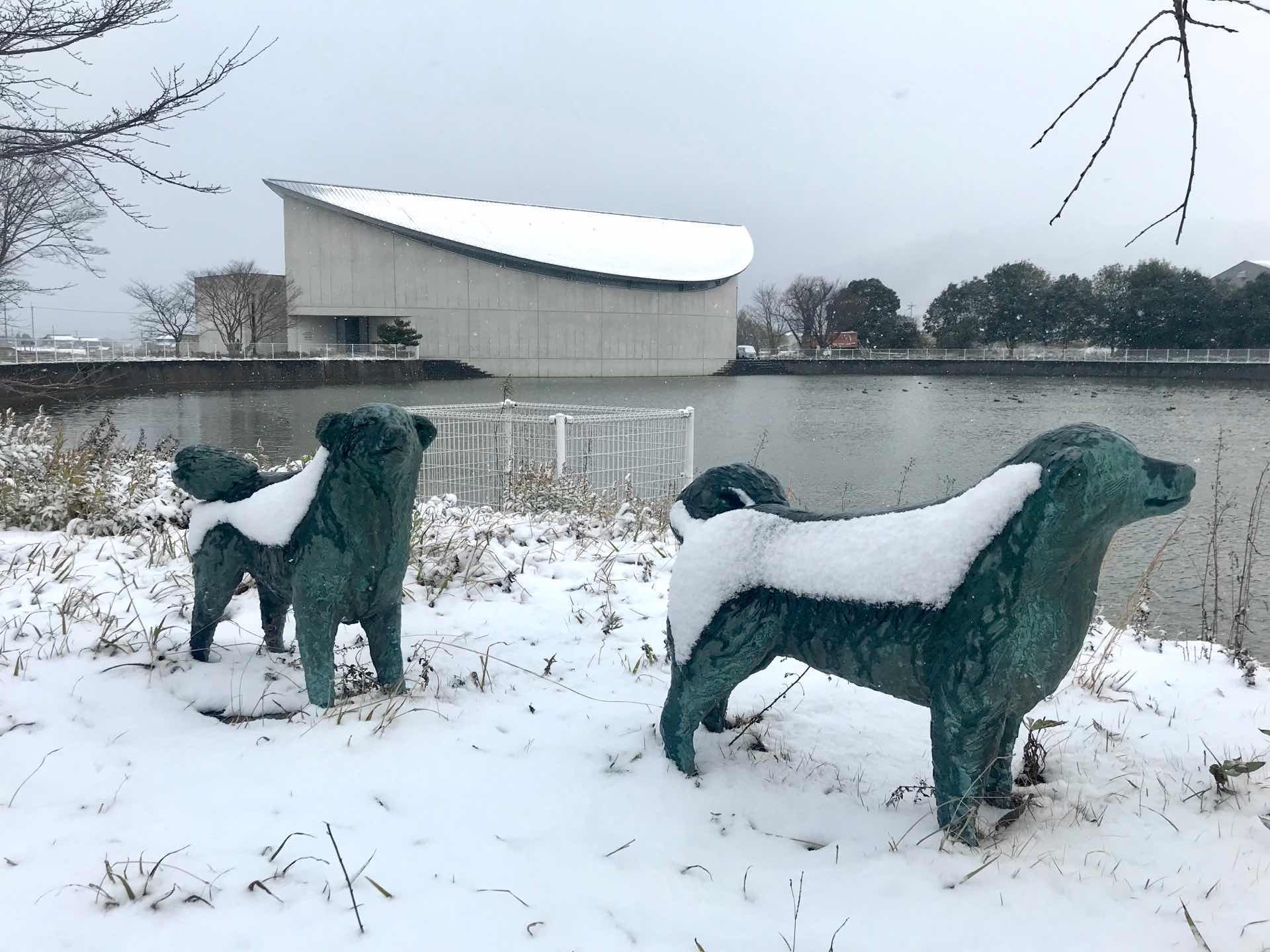 初雪