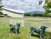 【夏】馬堤溜の変化【冬】