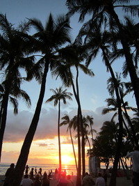 太陽。。。。。夕日