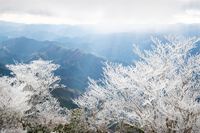 三峰山～霧氷祭りじゃワッショイワッショイ～