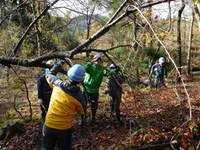【イベントレポート】 台風被害のくつきの森でボランティアしよう！