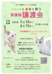 【5/18(日)、6/15(日)】ニャンコの未来を救う　保護猫譲渡会