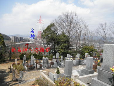 春のお墓参り