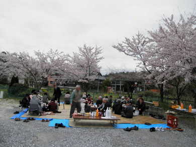観桜会