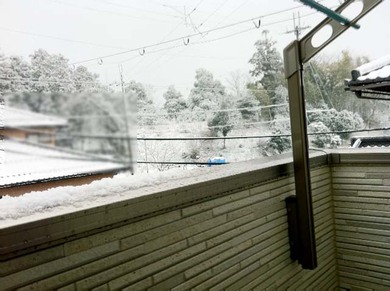 雪の朝（第１０回目）