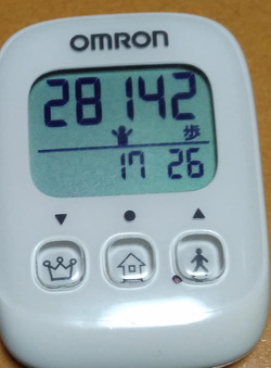 クリーンパト２日目
