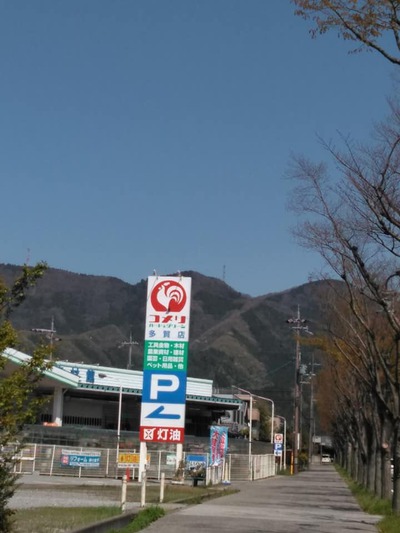 徘徊三日目！