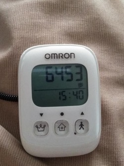 徘徊三日目！