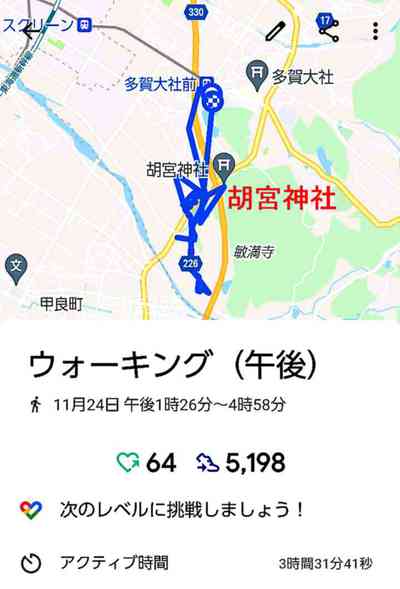 徘徊初日（１１月度）