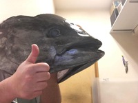 ゴールデンウィーク期間は！