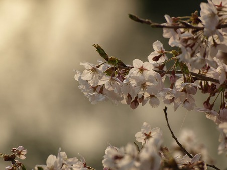 ４月の定休日