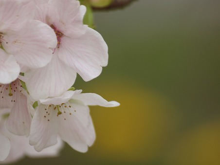 ４月の定休日