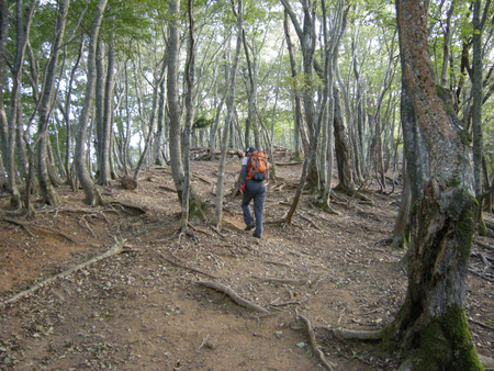 霊仙山