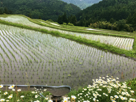 ６月の定休日