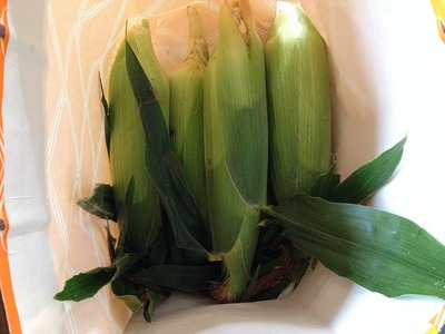 大中のスイカ