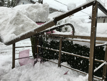 雪後編