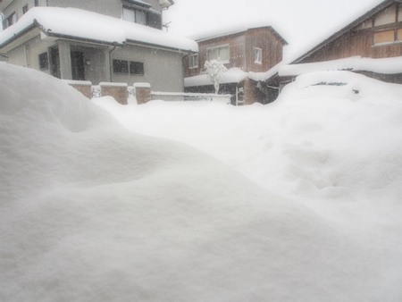 雪後編