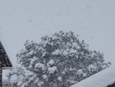 雪後編