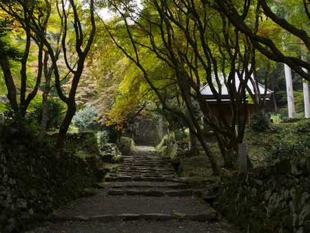 鶏足寺