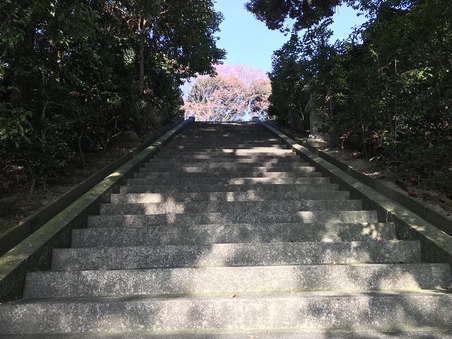 荒神山 その2