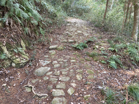 ぶらっと荒神山　その三